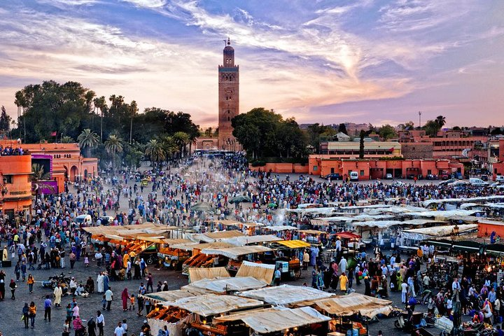 marrakech day trip