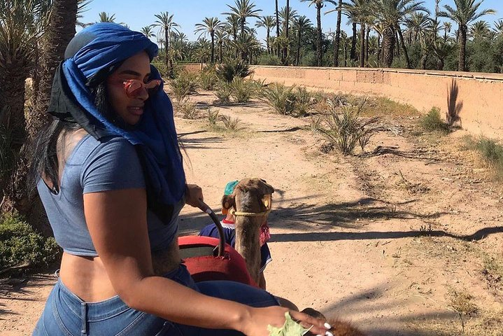 Marrakech Luxery sunset Camel Ride - Photo 1 of 11