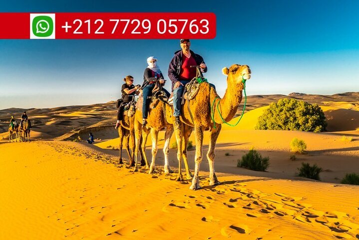 Overnight Camel Trek Merzouga