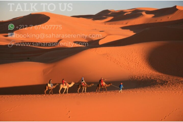 Overnight Camel Trekking in Merzouga Desert with Luxury and Standard Camp