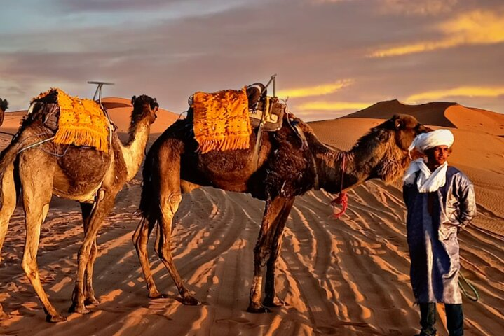 merzouga luxruy camp  - Photo 1 of 2