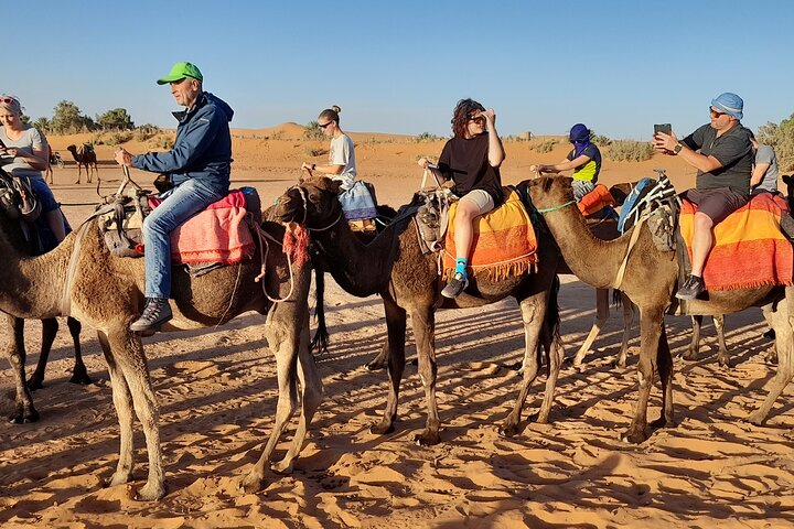 Dromedary ride