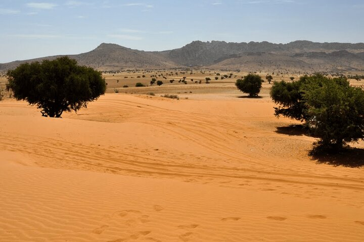 Mini Sahara Atlantic Ocean Jeep Tour With Lunch  - Photo 1 of 25