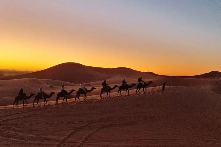 Overnight Desert Camp - Photo 1 of 17