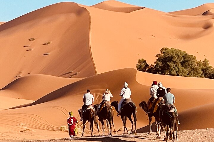 Camel ride to the camp