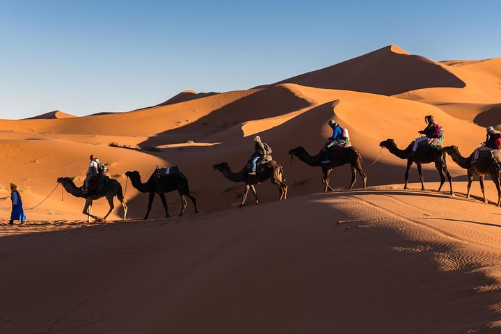 Erg Chigaga Camel Trek