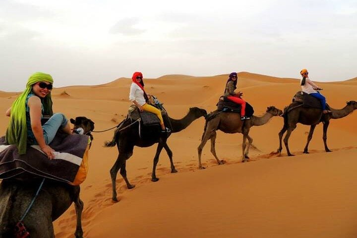 Shared group Fez to Fez Sahara tour 2Days/1Night  - Photo 1 of 7