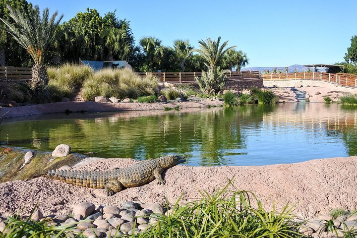 Vue globale sur le parc