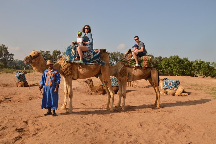 Camel ride at the sunset in Agadir with Hotel Transfers.
- Paseo en camello al atardecer en Agadir con Hotel Transfers.
- Kamelritt bei Sonnenuntergang in Agadir mit Hoteltransfers.
- Kameelrit 