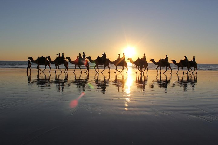 Horse and Camel Riding in taghazout