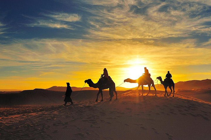 Erg Chebbi Dunes with Camel Trekking