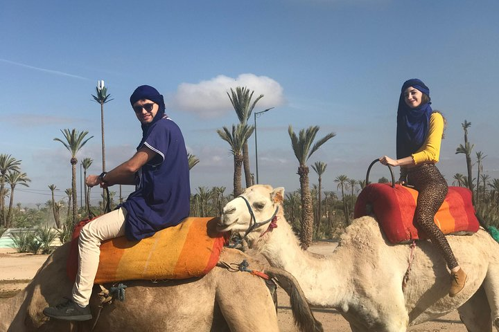 sunshine camel ride in marrakech - Photo 1 of 15