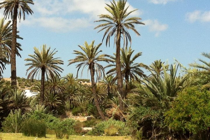 Visit the Oasis & Tea at the basket maker. - Photo 1 of 9