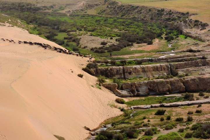 Walk between Argan Forest, Ocean & Waterfalls. - Photo 1 of 15