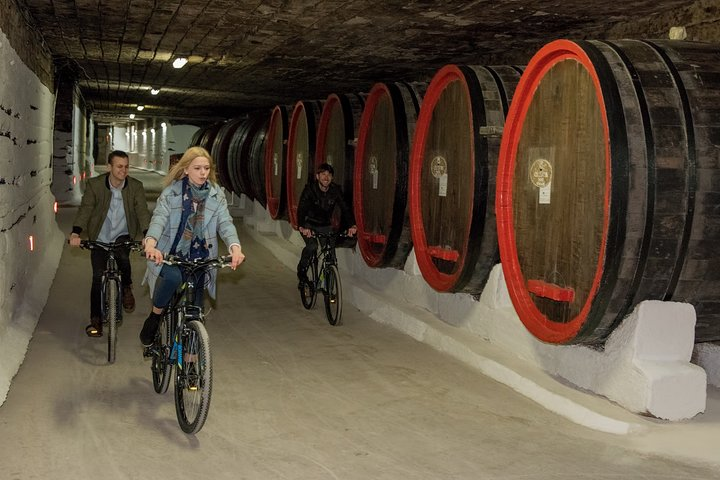 Biking a Guinness Book Winery - Photo 1 of 10