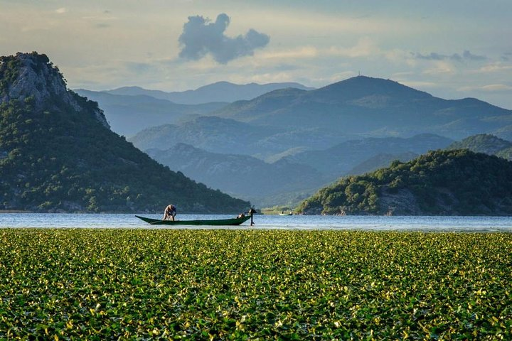 Skadar lake