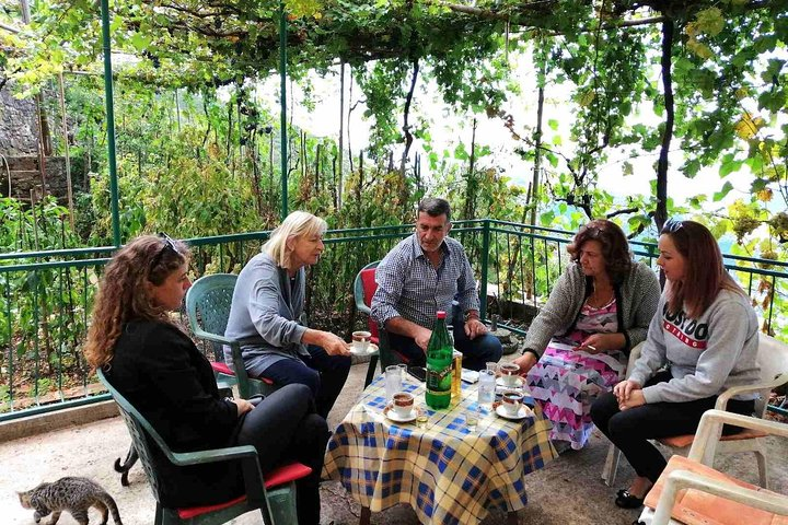 Unique lunch experience with locals in high hills above Budva! - Photo 1 of 18