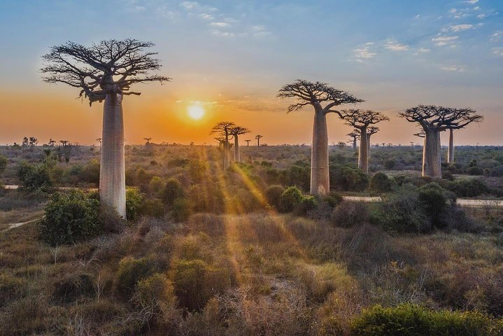 15 Days Exploring South and West of Madagascar - Photo 1 of 19