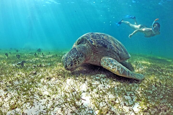 Exploring Nosy Sakatia with guide - Photo 1 of 6