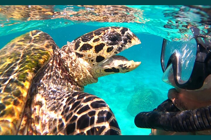 Full-Day Exclusive Private Tour to Nosy Tanikely Marine Reserve  - Photo 1 of 24