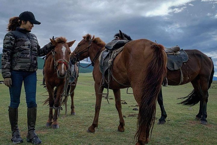 12-day Gobi and Central Mongolia Adventure - Photo 1 of 7