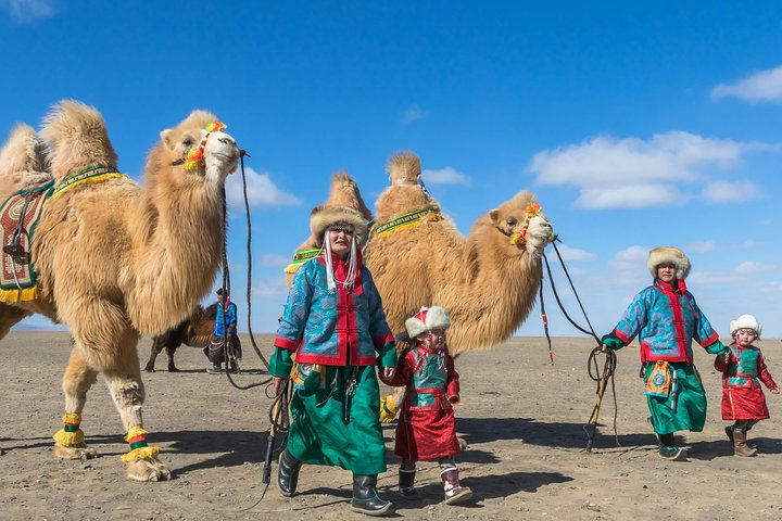 13 Days Ice and Camel Festival 2020 - Photo 1 of 10