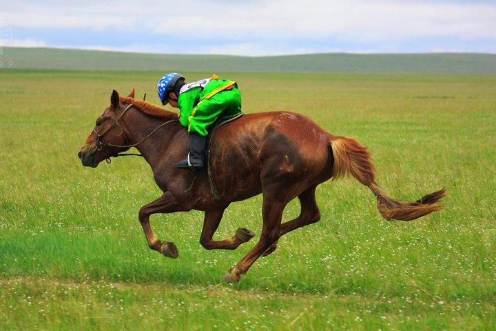 2 Days Naadam Festival 2020 - Photo 1 of 5