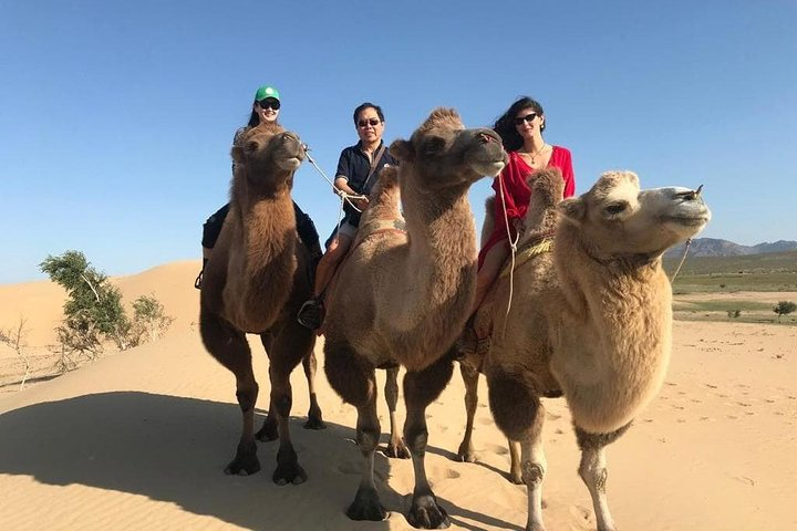 Riding camel at Elsen Tasakhai semi desert
