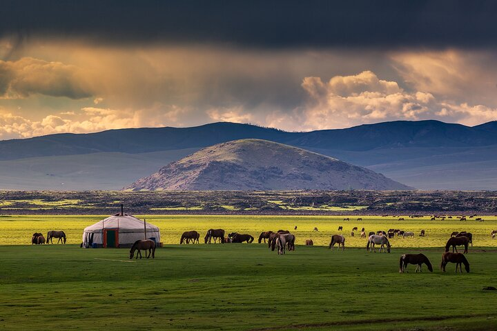 Central Mongolia tour/6days