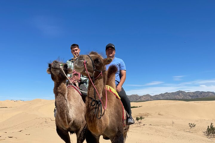 A Day Trip to Semi-Gobi (bonus visit to Khustai National Park) - Photo 1 of 9