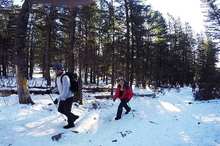 Winter hike in Bogd Khan National Park