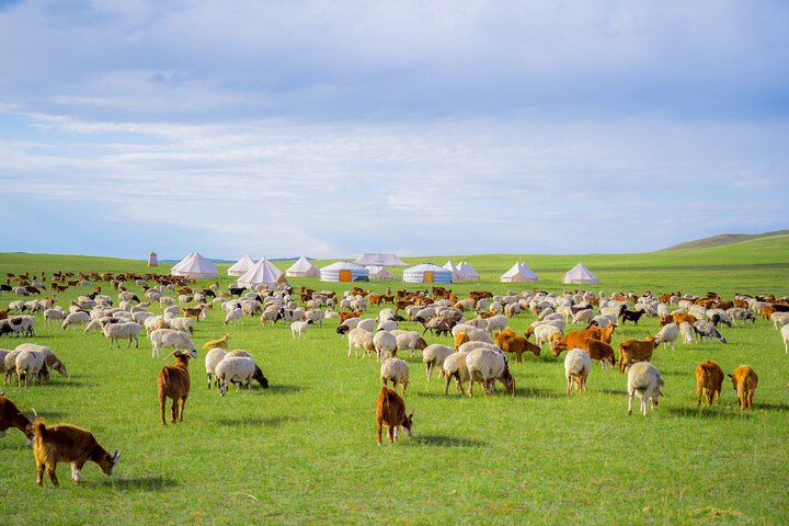 Glamping in Genghis Khan's Spiritual Sanctuary Burkhan Khaldun - Photo 1 of 6