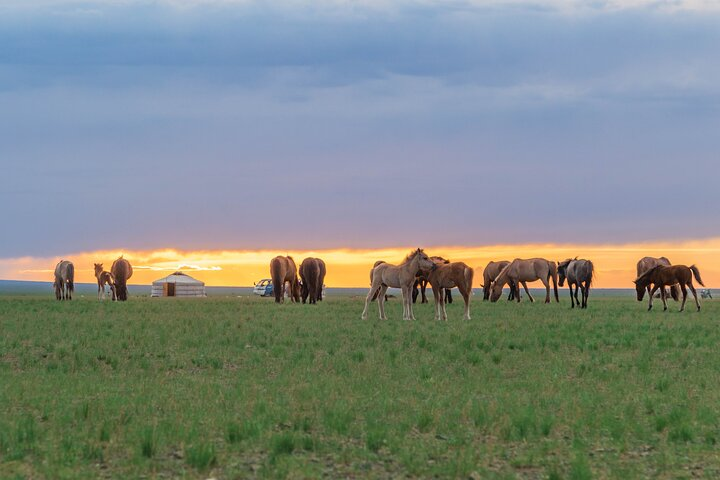 Greate White Lake and Gobi desert - Photo 1 of 7