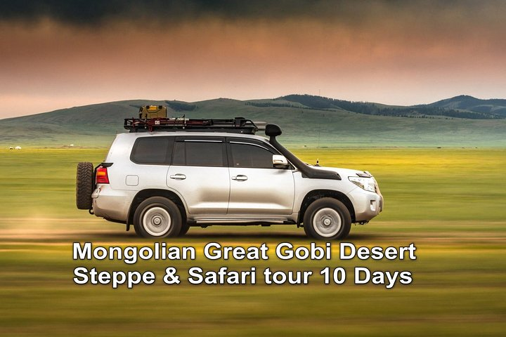 Mongolian Great Gobi Desert , Steppe & Safari tour 10 days - Photo 1 of 16