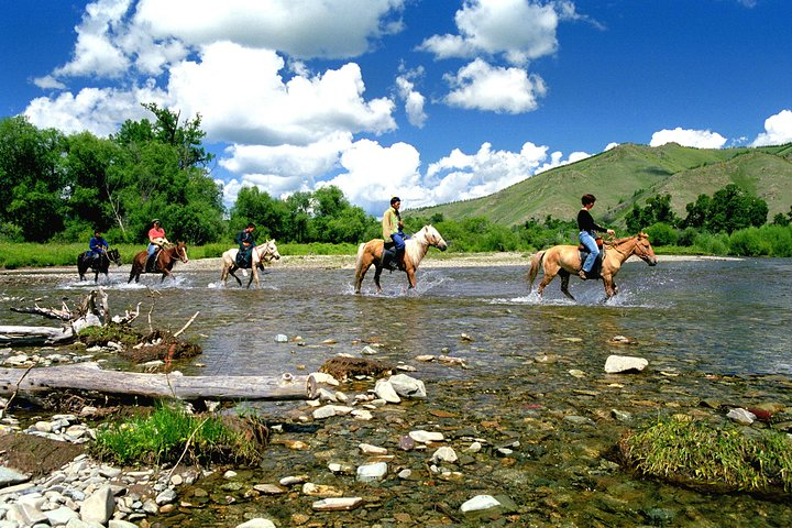 Horse trekking