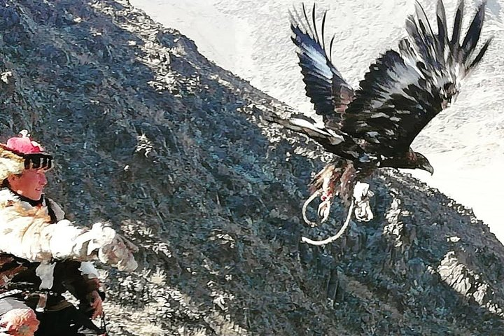 Eagle Hunter is releasing his eagle for hunting prey