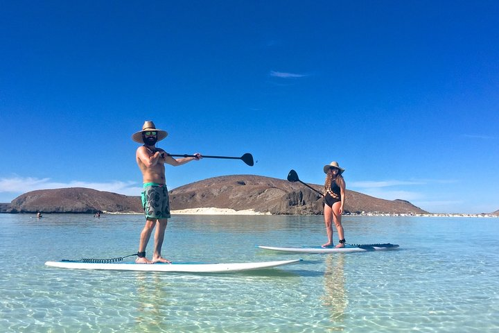 Enjoy paddleboarding in small groups at the UNESCO World Heritage Site of Espiritu Santo at la Baja, Mexico