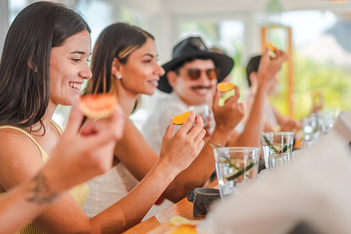 3-Hour Small-Group Mezcal and Tequila Tasting activity from Cozumel - Photo 1 of 11