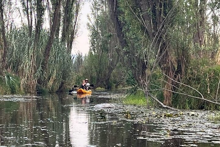 3 Hours of Kayaking at the Ancient Canals of Xochimilco - Photo 1 of 7