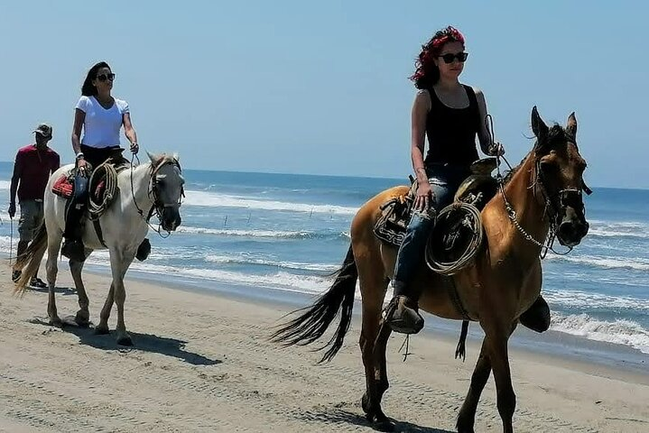 AfroMexican Village Experience-Horseback Ride-Turtle Hatch &Crocs - Photo 1 of 15