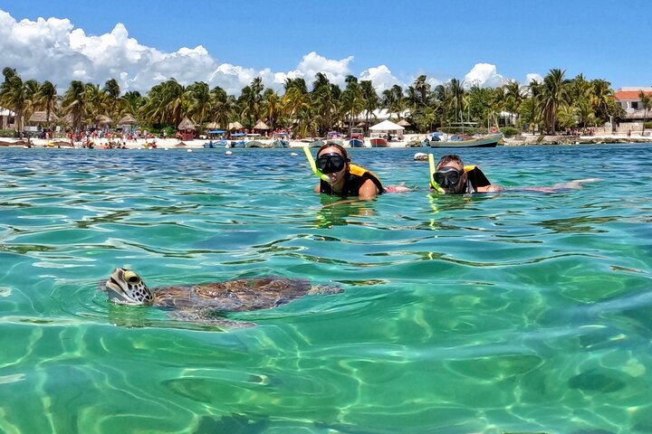 Akumal; Snorkeling and Photos with Turtles - Photo 1 of 18