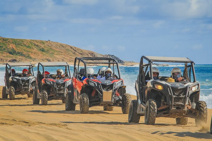 Amazing Combo Adventure in Los Cabos México - Photo 1 of 9