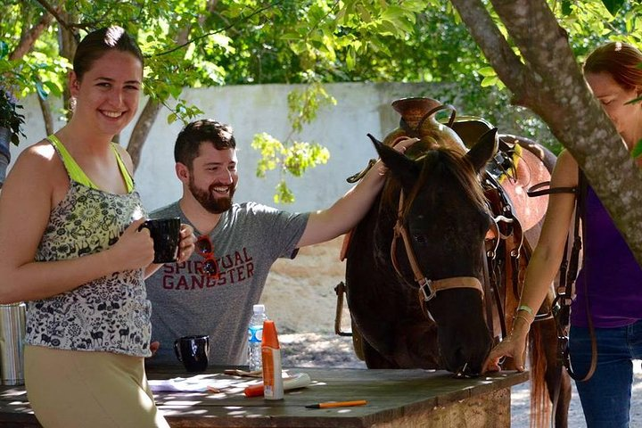 Award-winning Classic Horseback Ride (max. 6 riders) - Photo 1 of 7