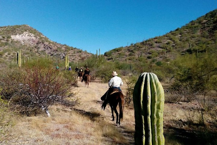 Baja Desert Horseback Riding Tour  - Photo 1 of 5