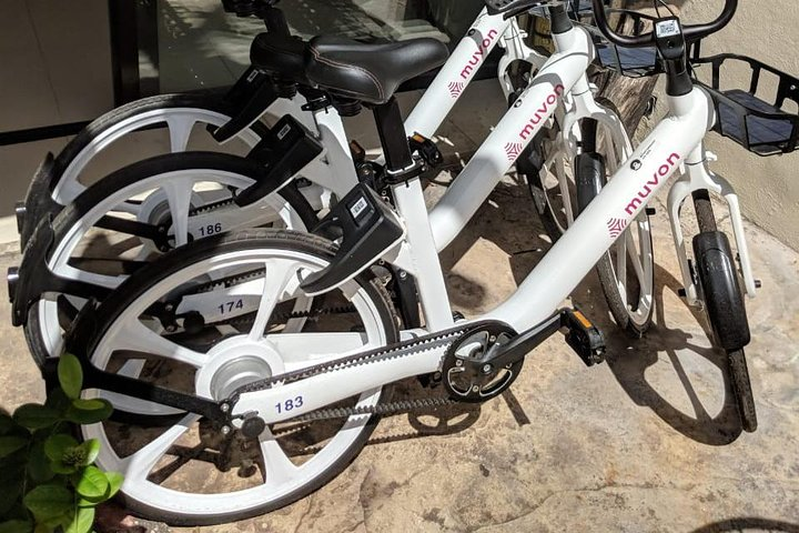 Bike Rental in Tulum downtown - Photo 1 of 4