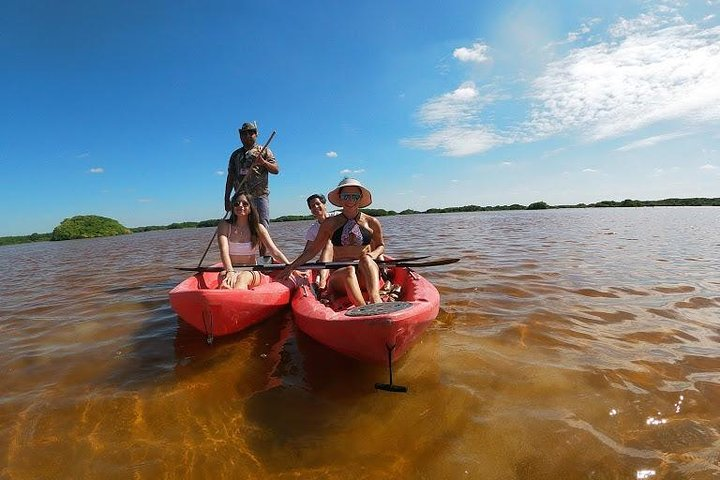 bird watching in kayak - Photo 1 of 8