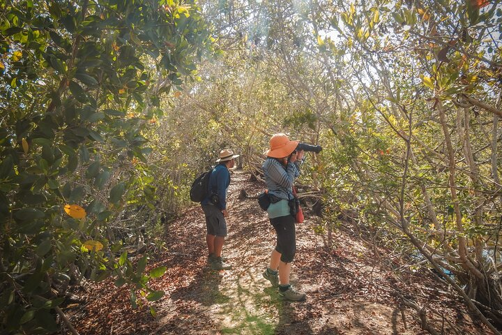 Bird Watching Mazatlán - Birding Tour - Photo 1 of 15