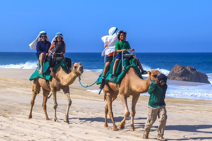 Cabo Camel Ride Experience - Photo 1 of 7