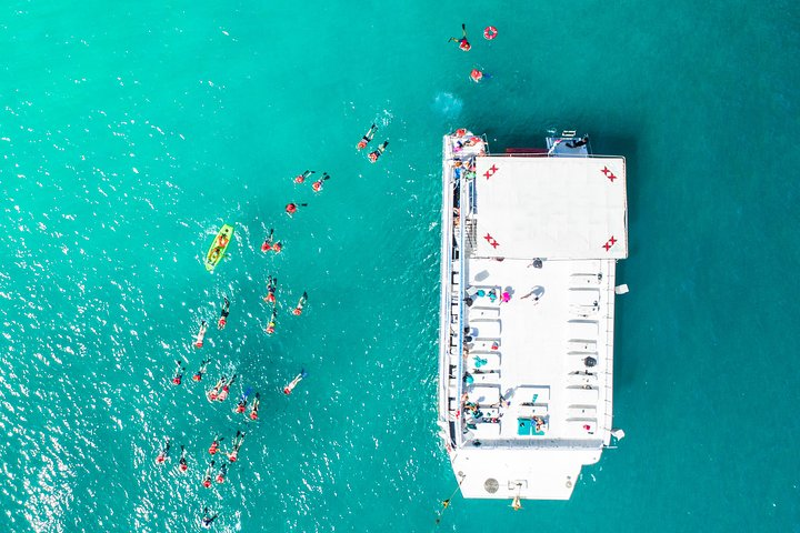 Snorkeling in the Sea of Cortes, a must while visiting Los Cabos!