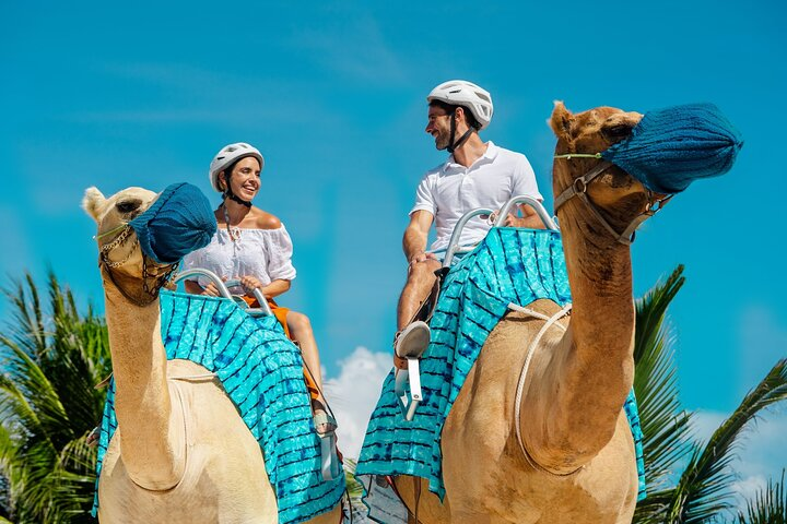 Camel Caravan Expedition and Beach Club with Transportation In Riviera Maya - Photo 1 of 13